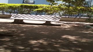 VID20190520112602