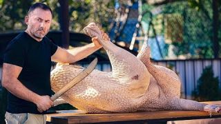 AUTRUCHE GRILLÉE. La VIANDE d'AUTRUCHE sur le CHARBON de bois. ENG SUB